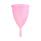 FEMINTIMATE Eve Menstrual Cup - House of Vices 
