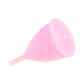 FEMINTIMATE Eve Menstrual Cup - House of Vices 