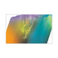 Rainbow gradient fabric with iridescent sheen, soft flowing texture for intimate apparel
