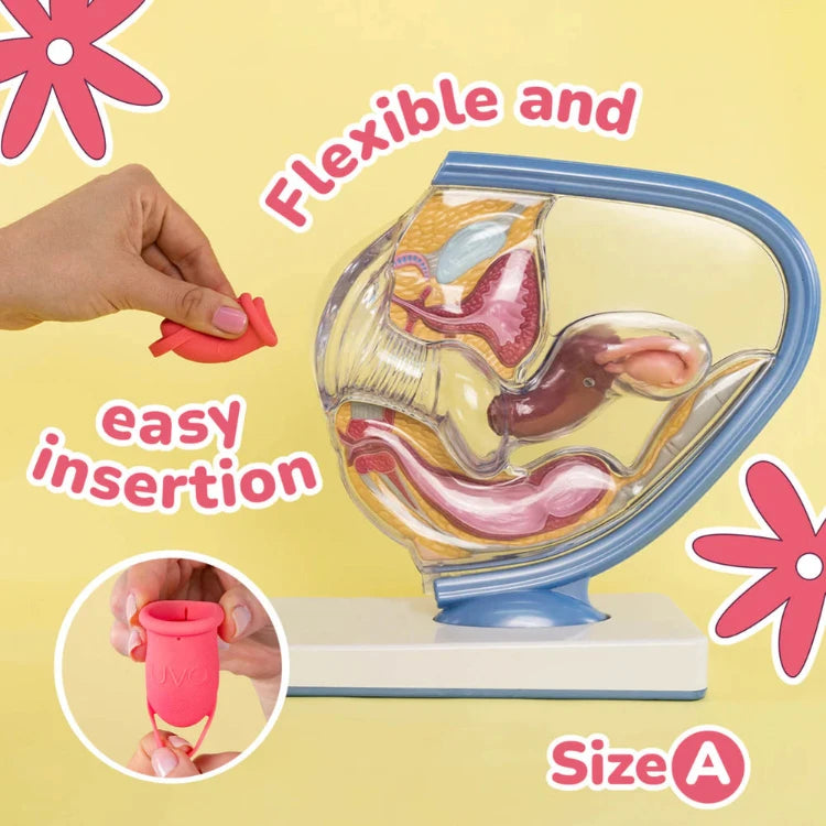 Flexible pink menstrual cup size A, easy insertion demo with anatomical model